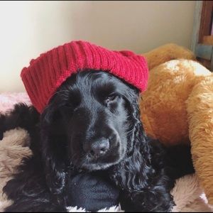 Meet your Posher, Savvy